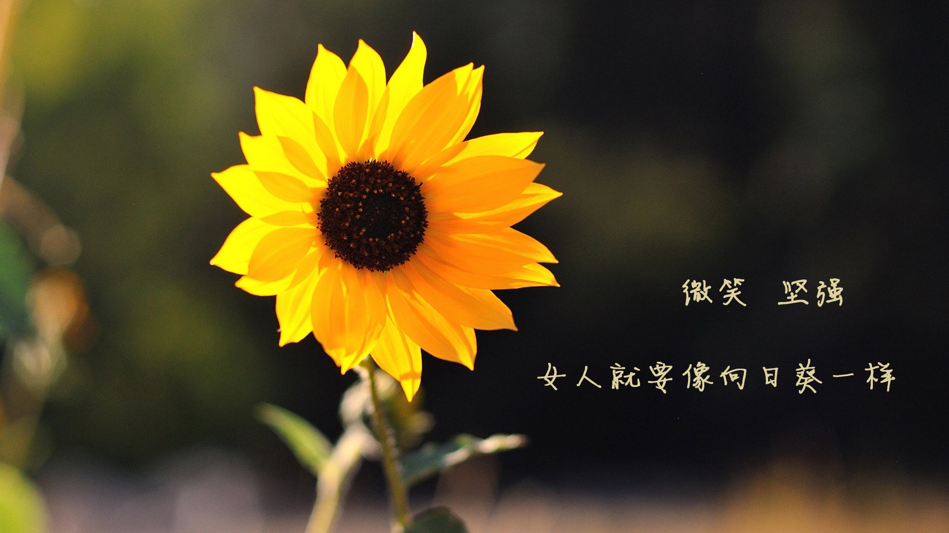 照明灯开关怎么换灯泡视频（照明开关坏了怎么换）