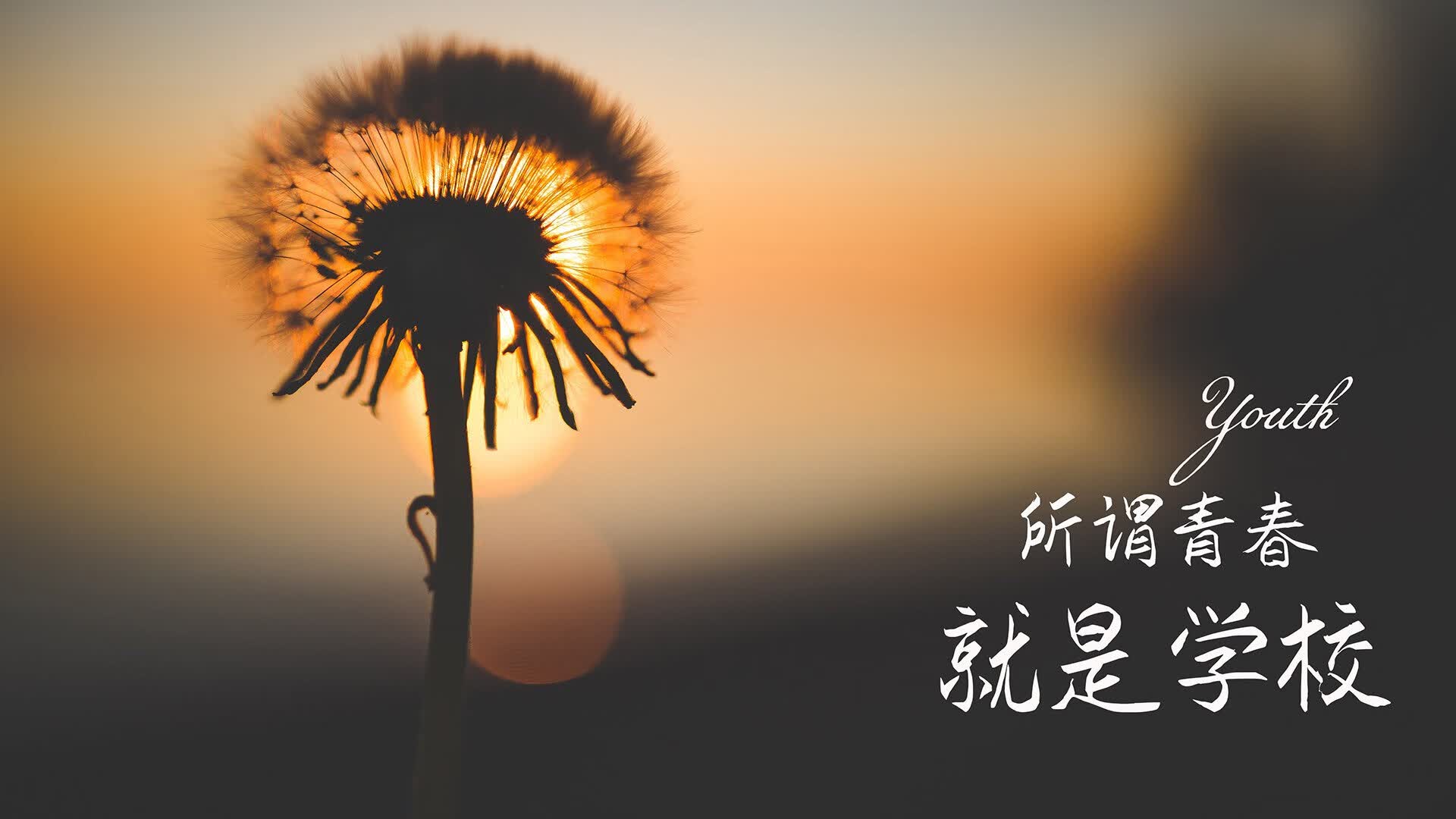 照明灯哪个品牌好用又实惠耐用（照明灯的十大品牌）
